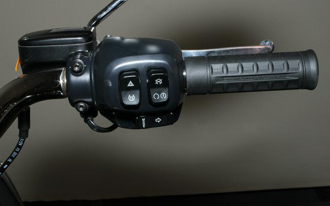 2025 Harley-Davidson Fat Boy