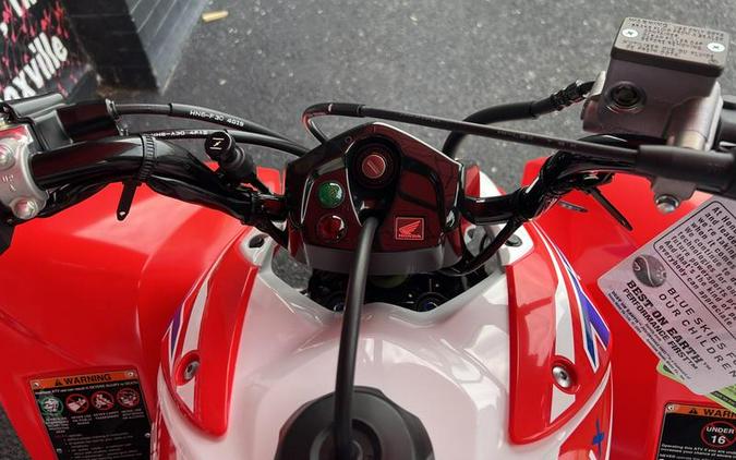 2026 Honda® TRX250X