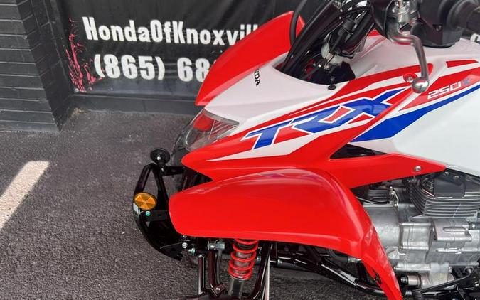2026 Honda® TRX250X