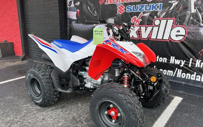 2026 Honda® TRX250X