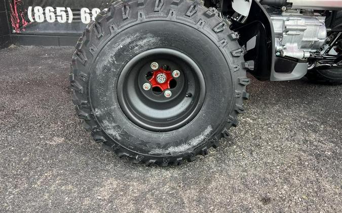 2026 Honda® TRX250X