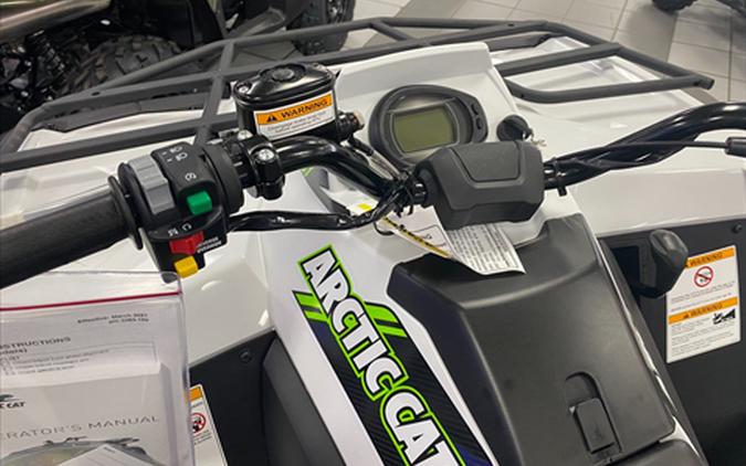 2022 Arctic Cat Alterra 600 XT