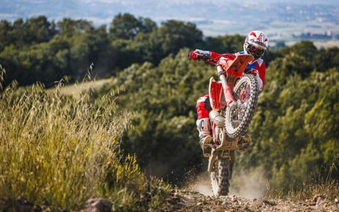 2025 Beta 300 RR X-Pro