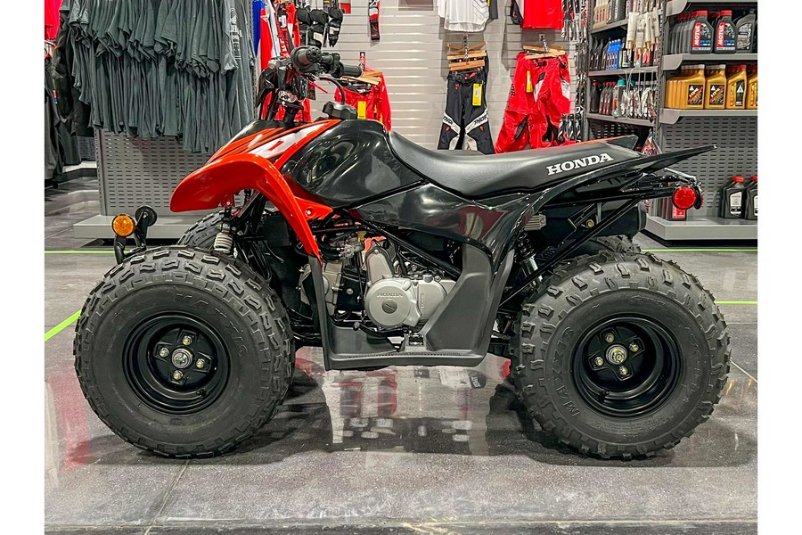 2024 Honda TRX90X