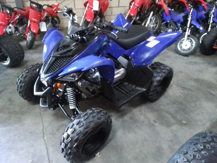 2026 Yamaha Raptor 110