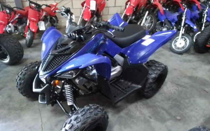 2026 Yamaha Raptor 110