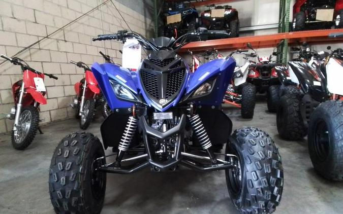 2026 Yamaha Raptor 110