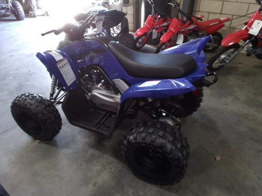 2026 Yamaha Raptor 110