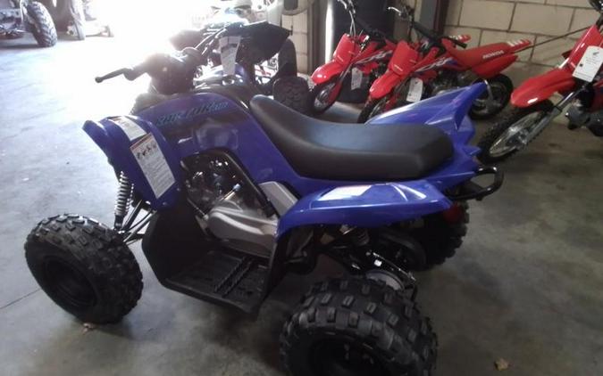 2026 Yamaha Raptor 110