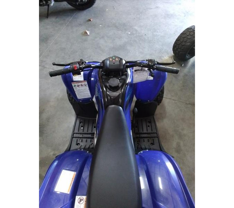 2026 Yamaha Raptor 110