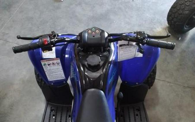 2026 Yamaha Raptor 110