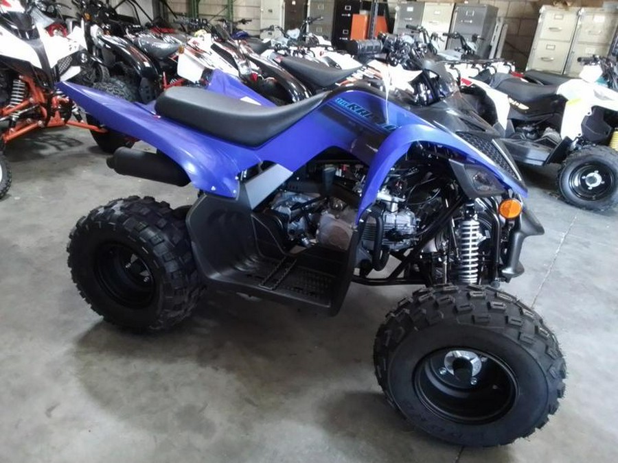 2026 Yamaha Raptor 110