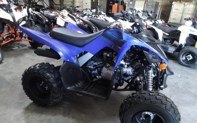 2026 Yamaha Raptor 110