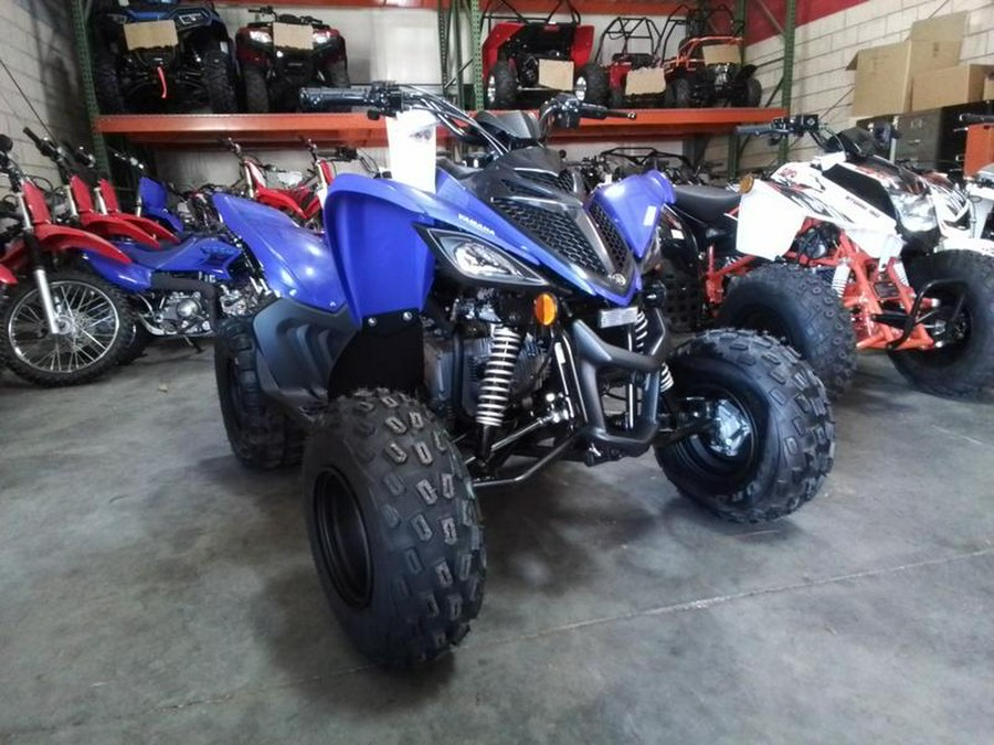 2026 Yamaha Raptor 110