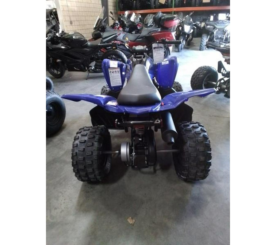 2026 Yamaha Raptor 110