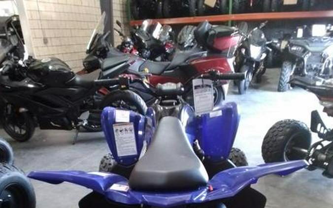 2026 Yamaha Raptor 110