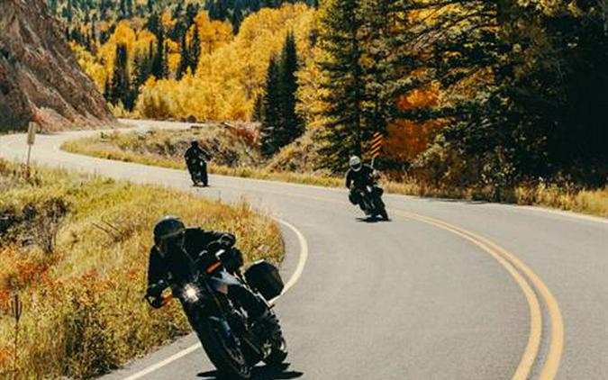 2025 LiveWire S2 Alpinista™