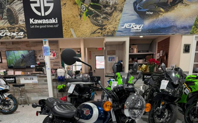 2025 Kawasaki W 230 ABS