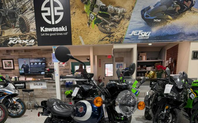 2025 Kawasaki W 230 ABS