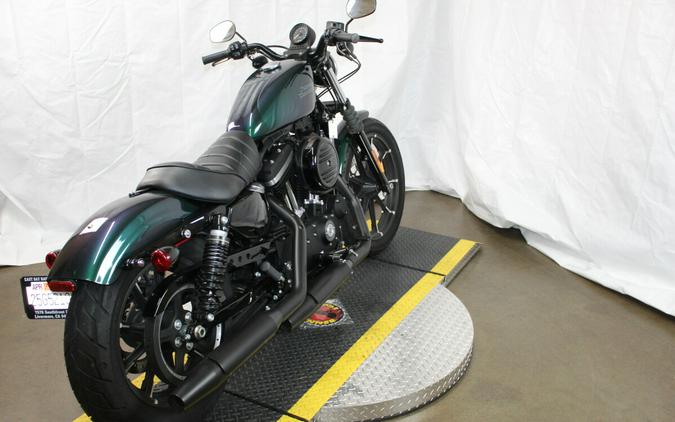 Harley-Davidson® Iron 883™ 2021 XL 883N 405385B SNAKE VENOM