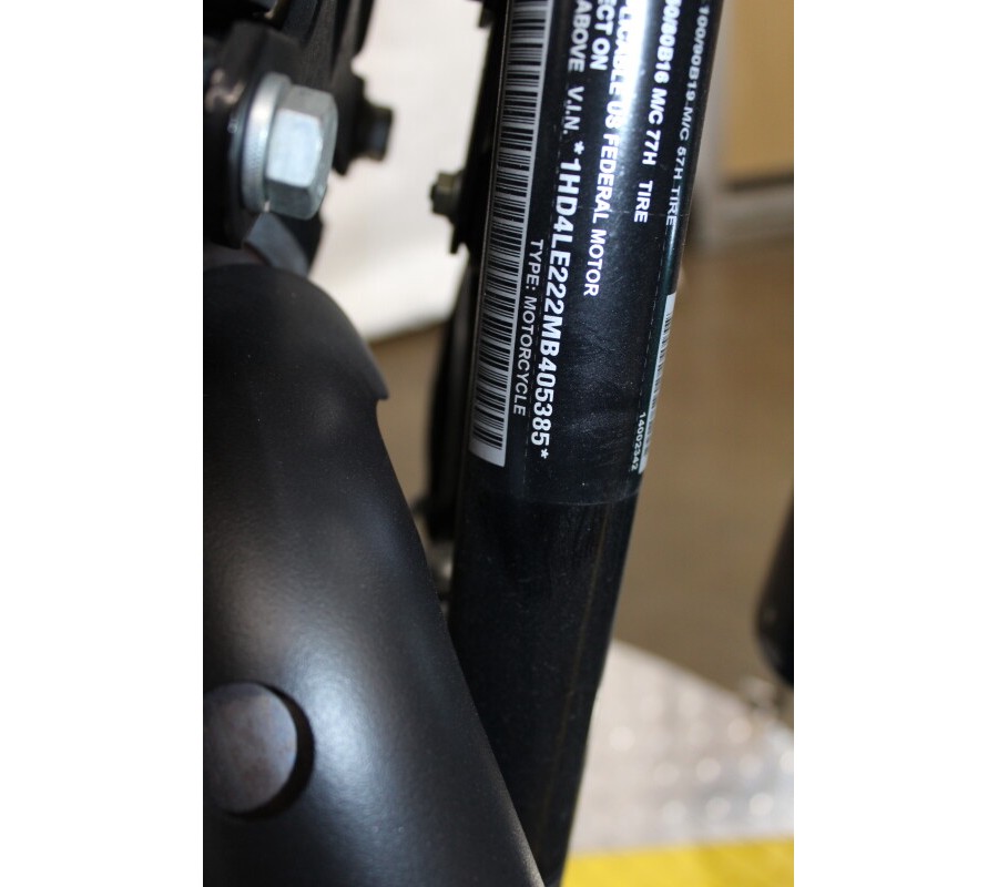 Harley-Davidson® Iron 883™ 2021 XL 883N 405385B SNAKE VENOM