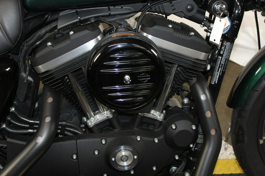 Harley-Davidson® Iron 883™ 2021 XL 883N 405385B SNAKE VENOM