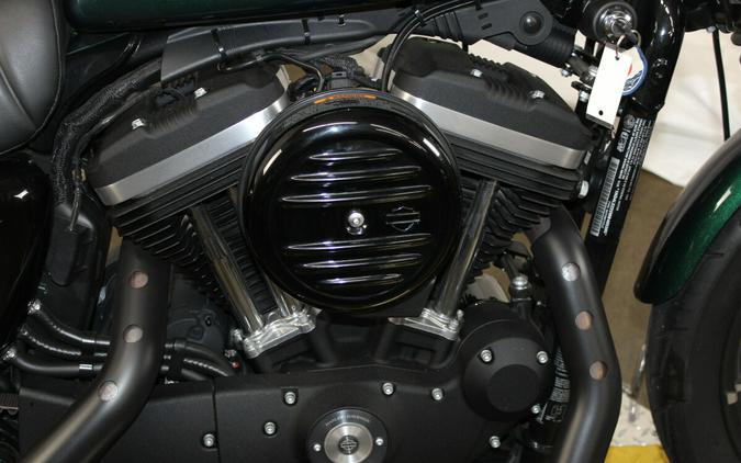 Harley-Davidson® Iron 883™ 2021 XL 883N 405385B SNAKE VENOM
