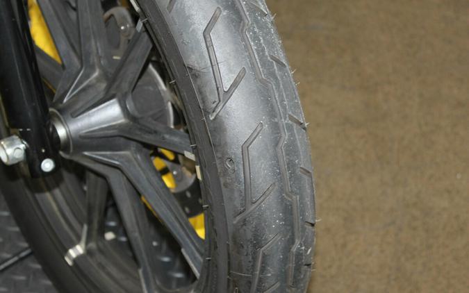 Harley-Davidson® Iron 883™ 2021 XL 883N 405385B SNAKE VENOM