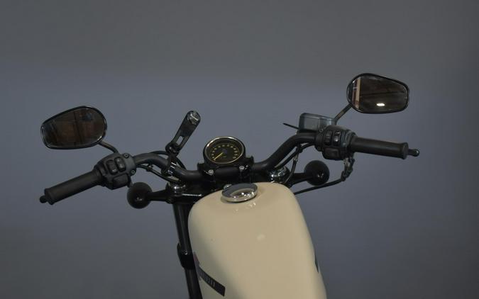 2022 Harley-Davidson Forty-Eight White Sand Pearl