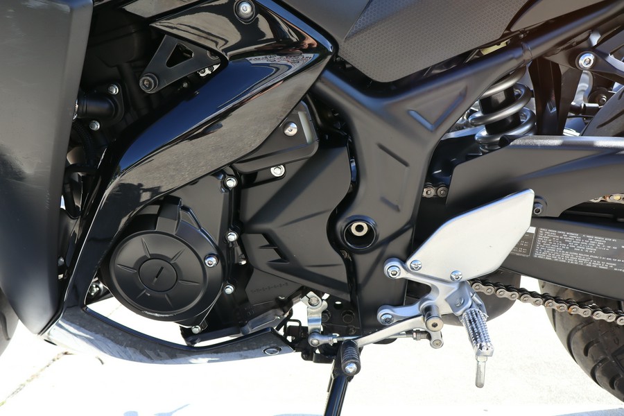 2019 Yamaha Motor Corp., USA YZF-R3