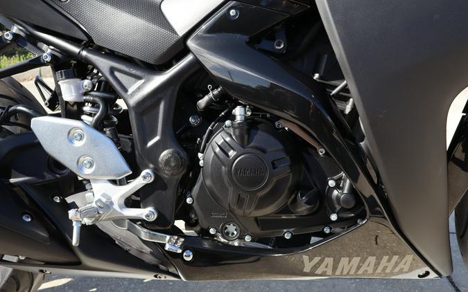 2019 Yamaha Motor Corp., USA YZF-R3