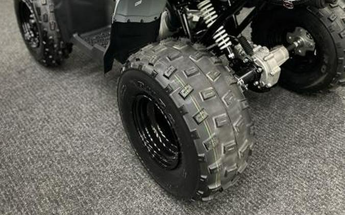 2026 Polaris® Phoenix 200