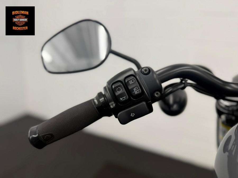 2022 Harley-Davidson Iron 883™