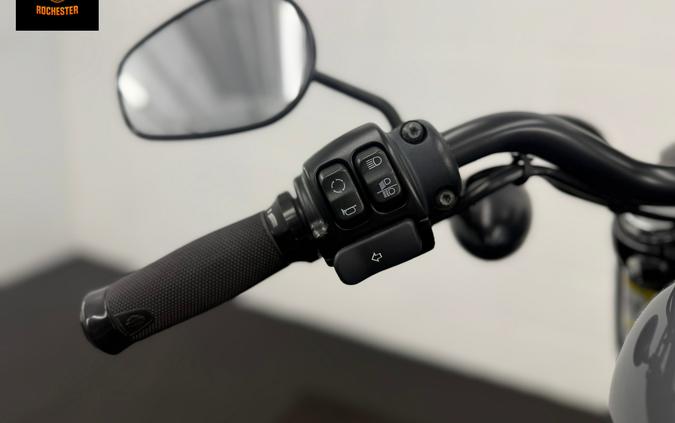 2022 Harley-Davidson Iron 883™