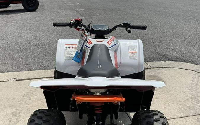2024 CFMOTO CFORCE EV110