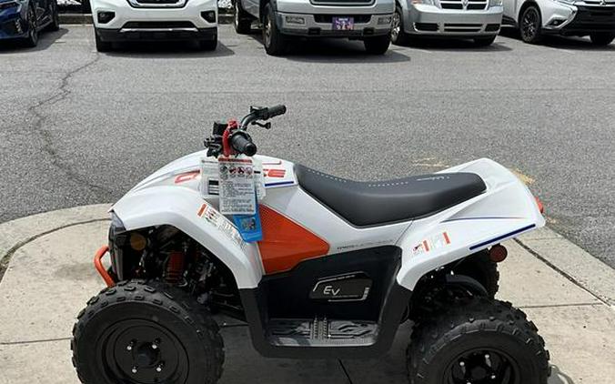 2024 CFMOTO CFORCE EV110