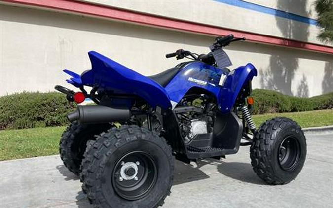 2024 Yamaha Raptor 110