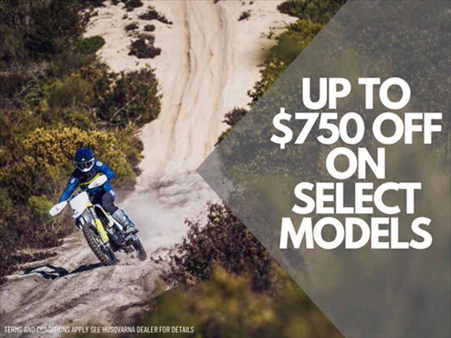 2024 Husqvarna Svartpilen 401