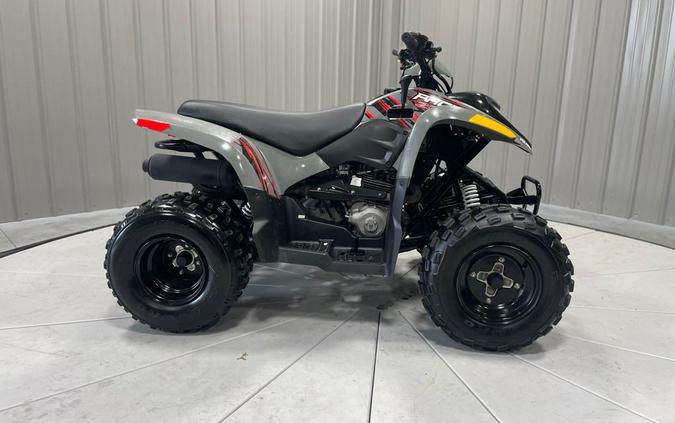 2020 Polaris Industries PHOENIX 200