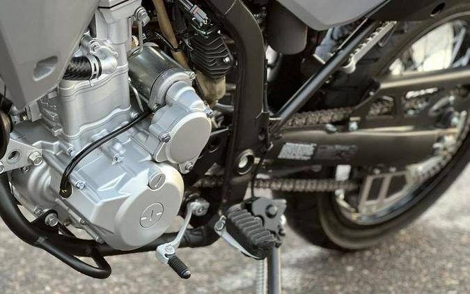 2024 Kawasaki KLX®300SM