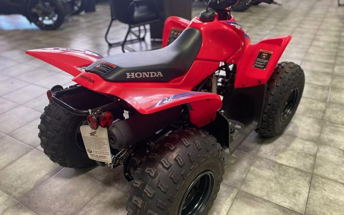 2024 Honda® TRX90X