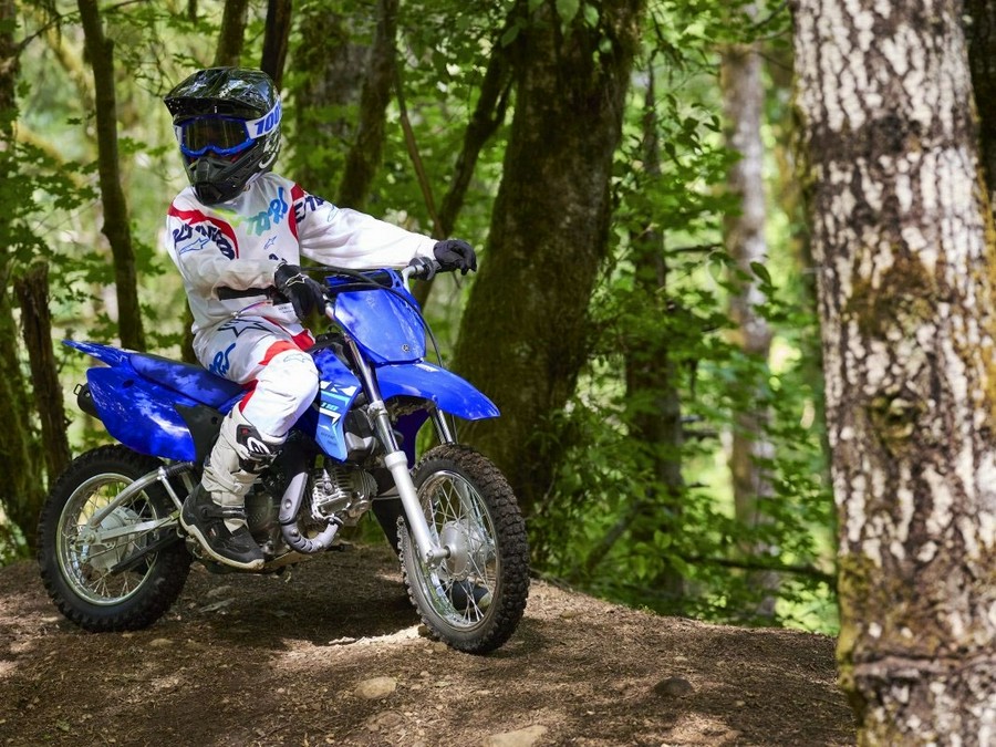 2026 Yamaha Motor Corp., USA TT-R110E