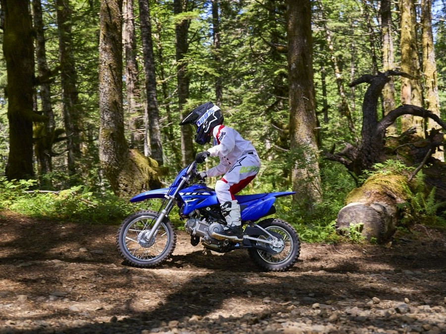 2026 Yamaha Motor Corp., USA TT-R110E