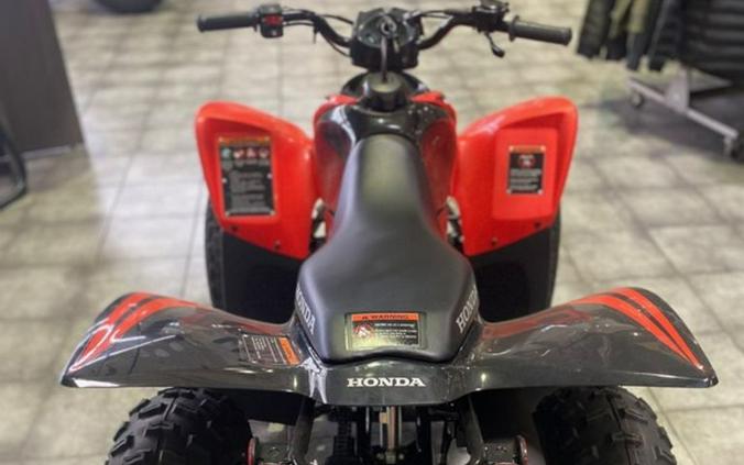 2024 Honda® TRX90X