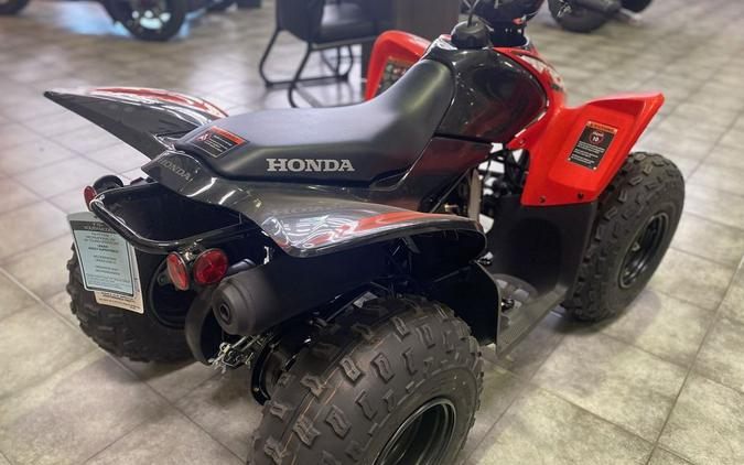 2024 Honda® TRX90X