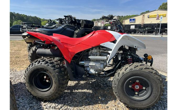 2023 TRX250X - Honda
