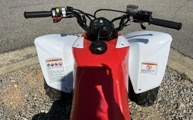 2023 Honda TRX250X