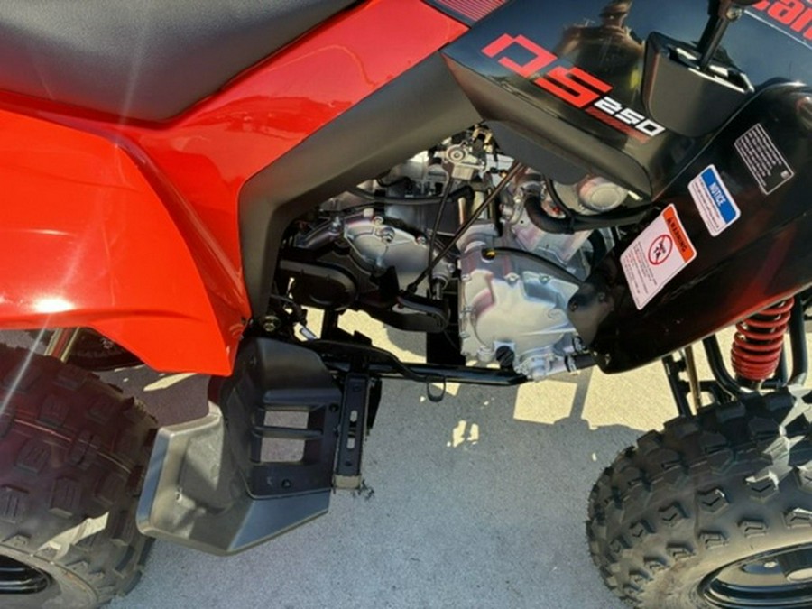 2027 Can-Am DS 250