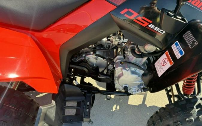 2027 Can-Am DS 250
