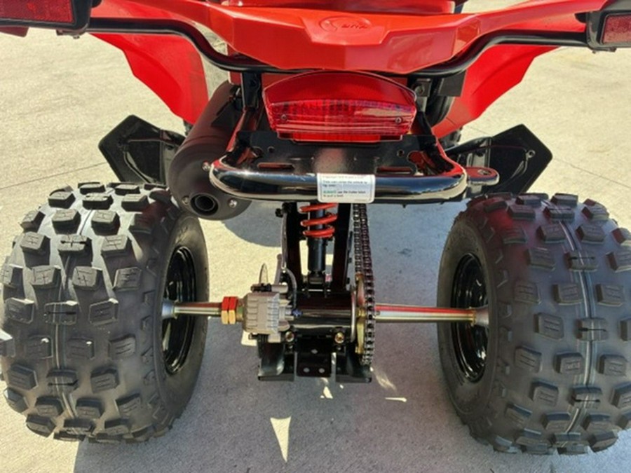 2027 Can-Am DS 250